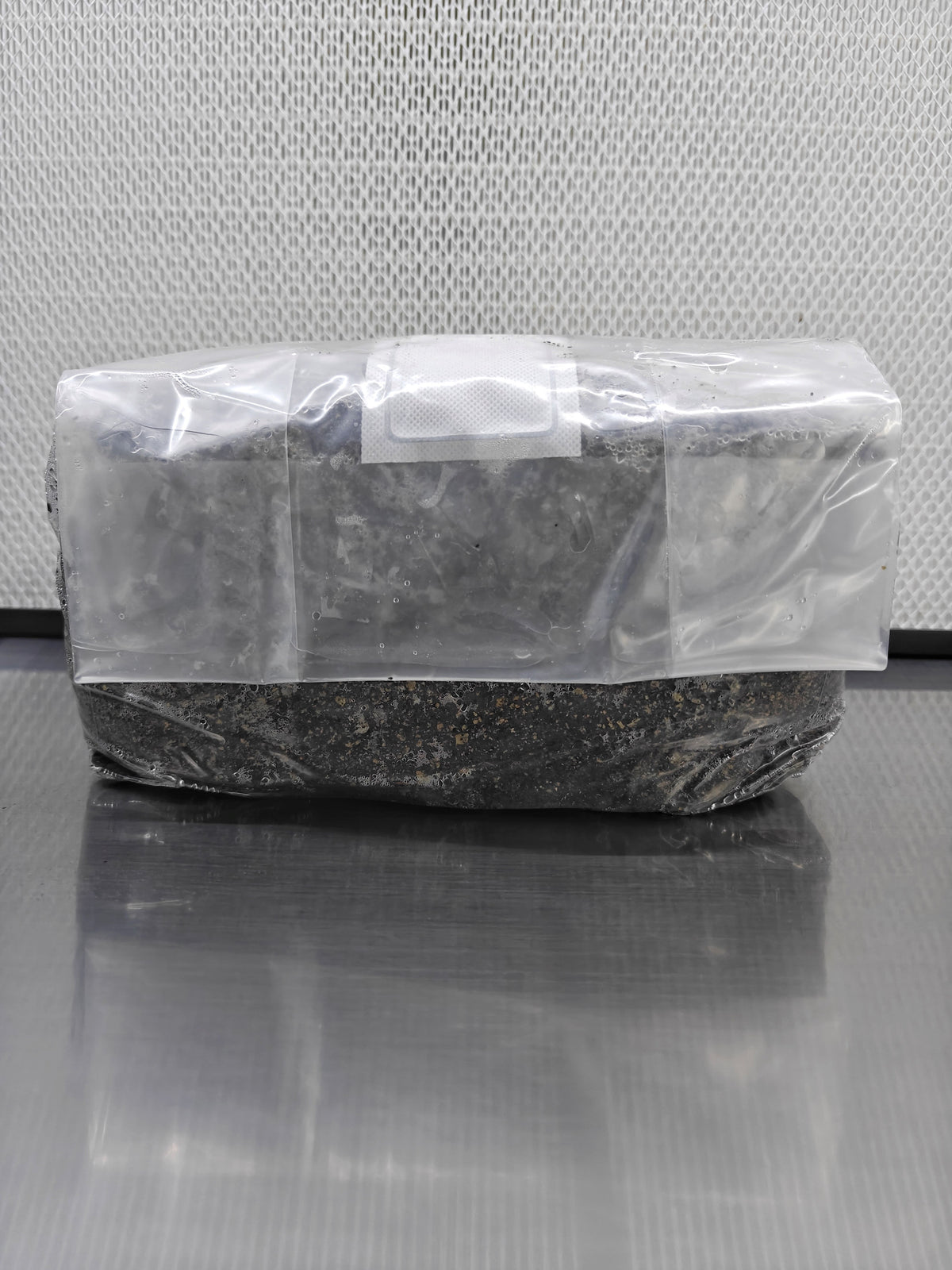 CVG Sterilised Substrate Bag