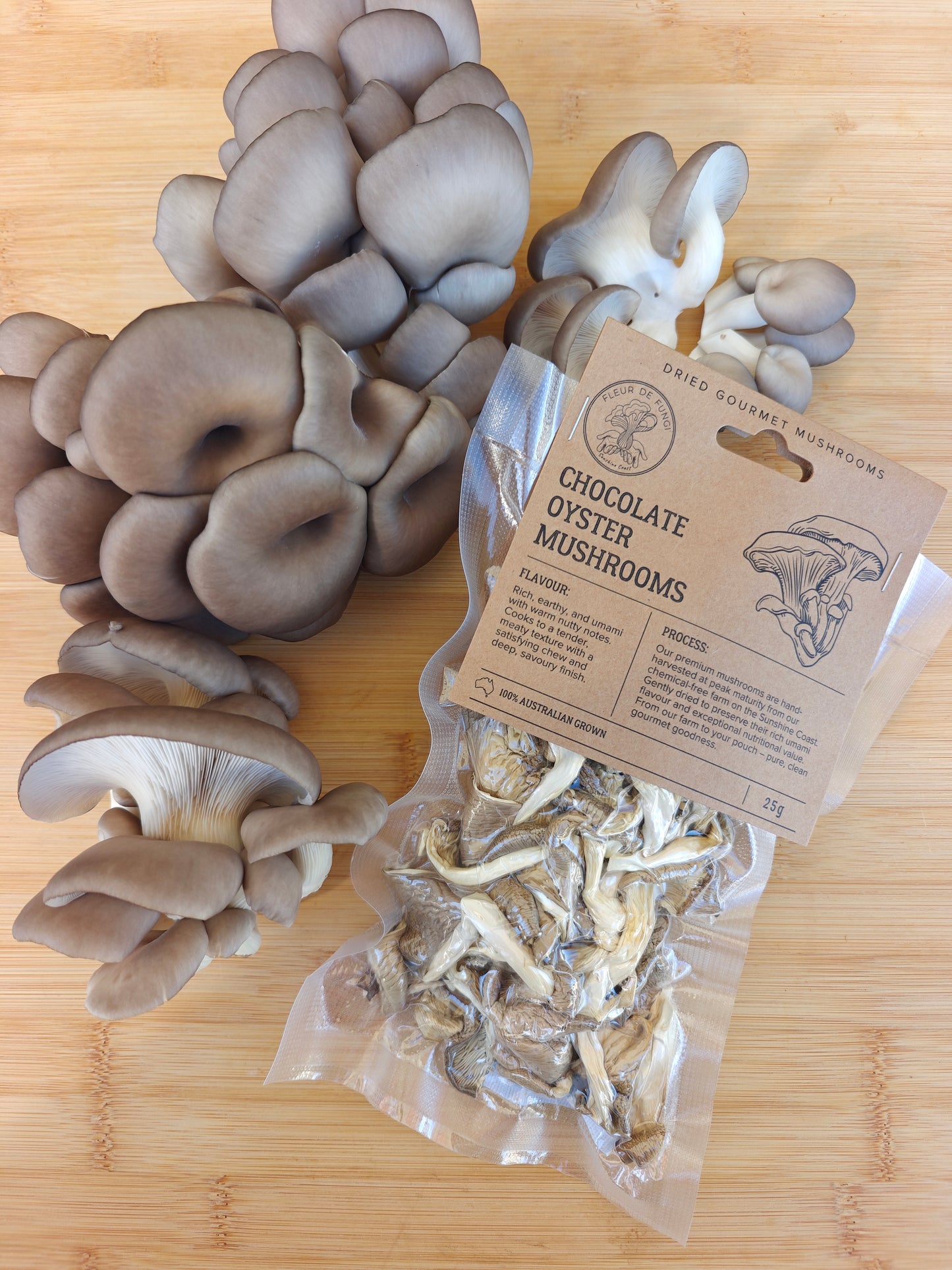 Dried Chocolate Oyster Mushrooms