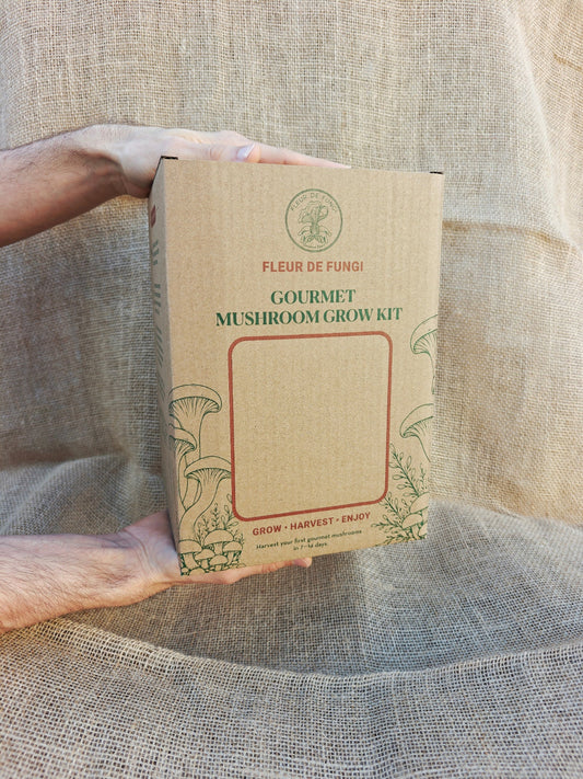 Princess of Pearl Oyster Grow Kit