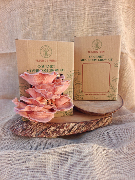 Pink Oyster Grow Kit