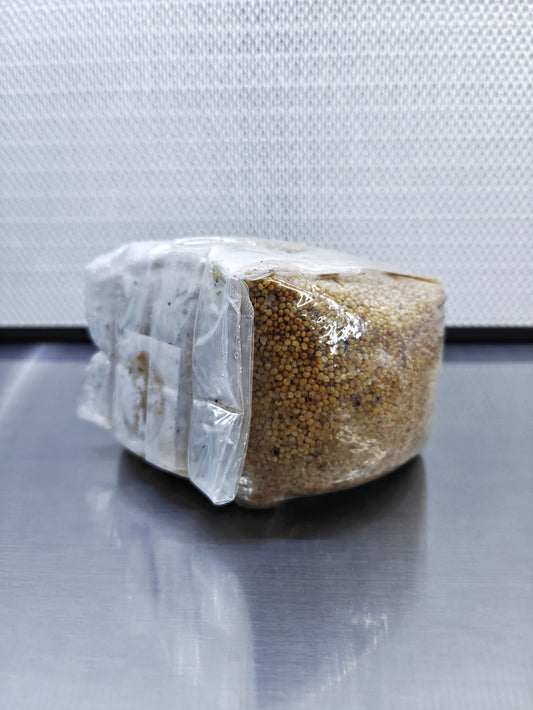 Sterilised Millet Grain Spawn Bag