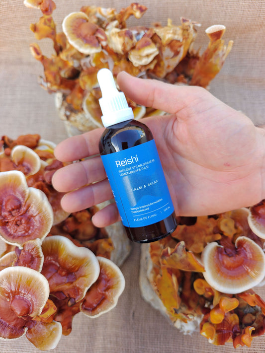 Reishi Mushroom Liquid