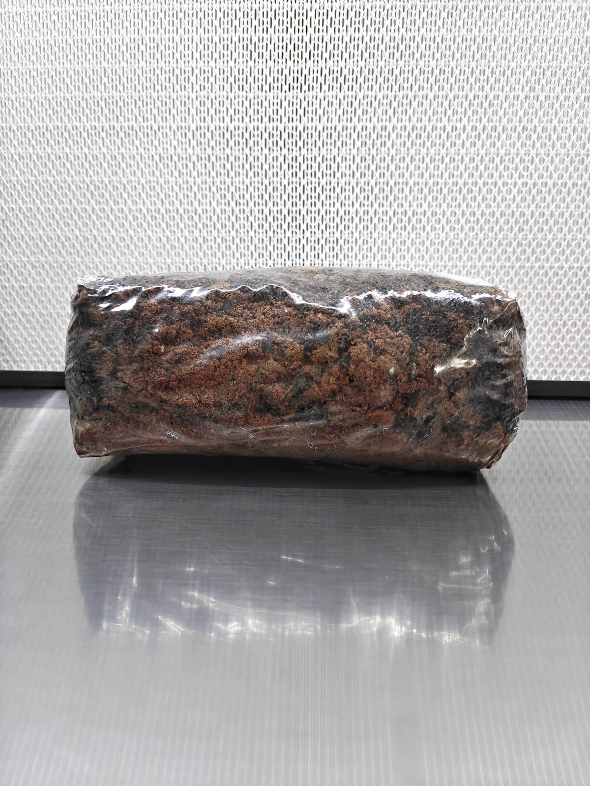 Shiitake Mix Sterilised Substrate Bag (80%-20%)
