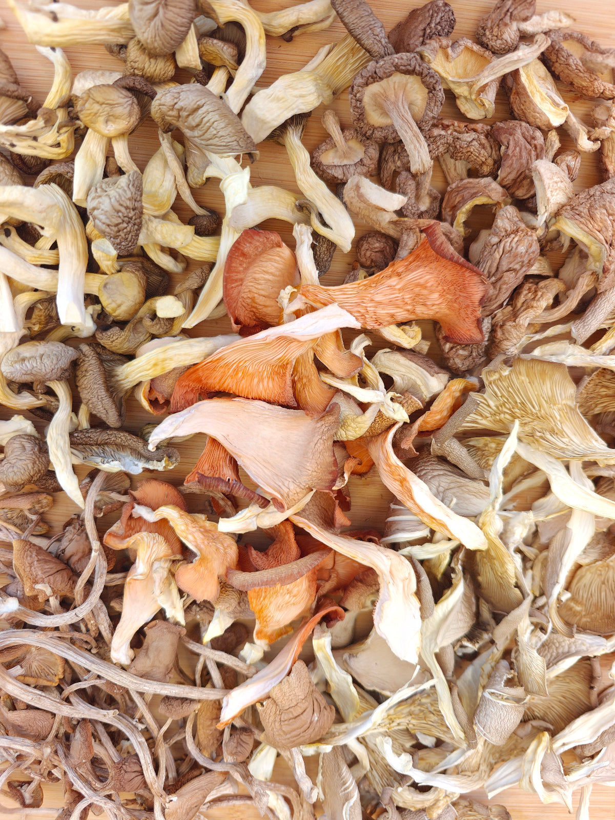 Dried Mushrooms