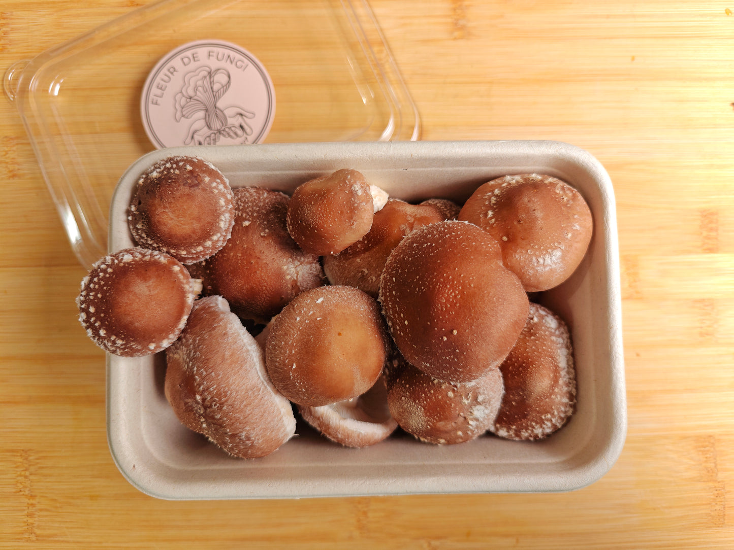 Shiitake Mushroom
