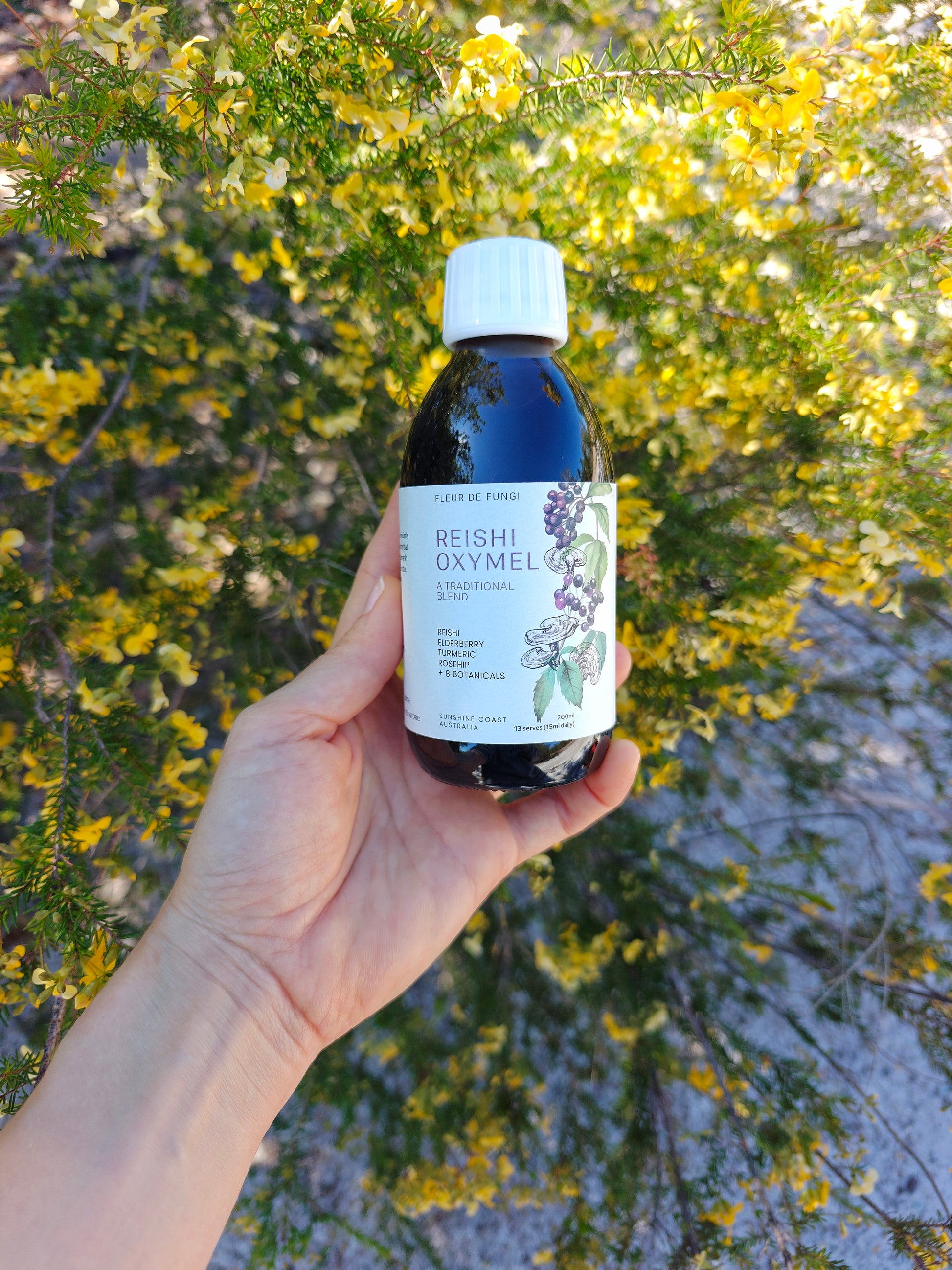 Reishi Oxymel