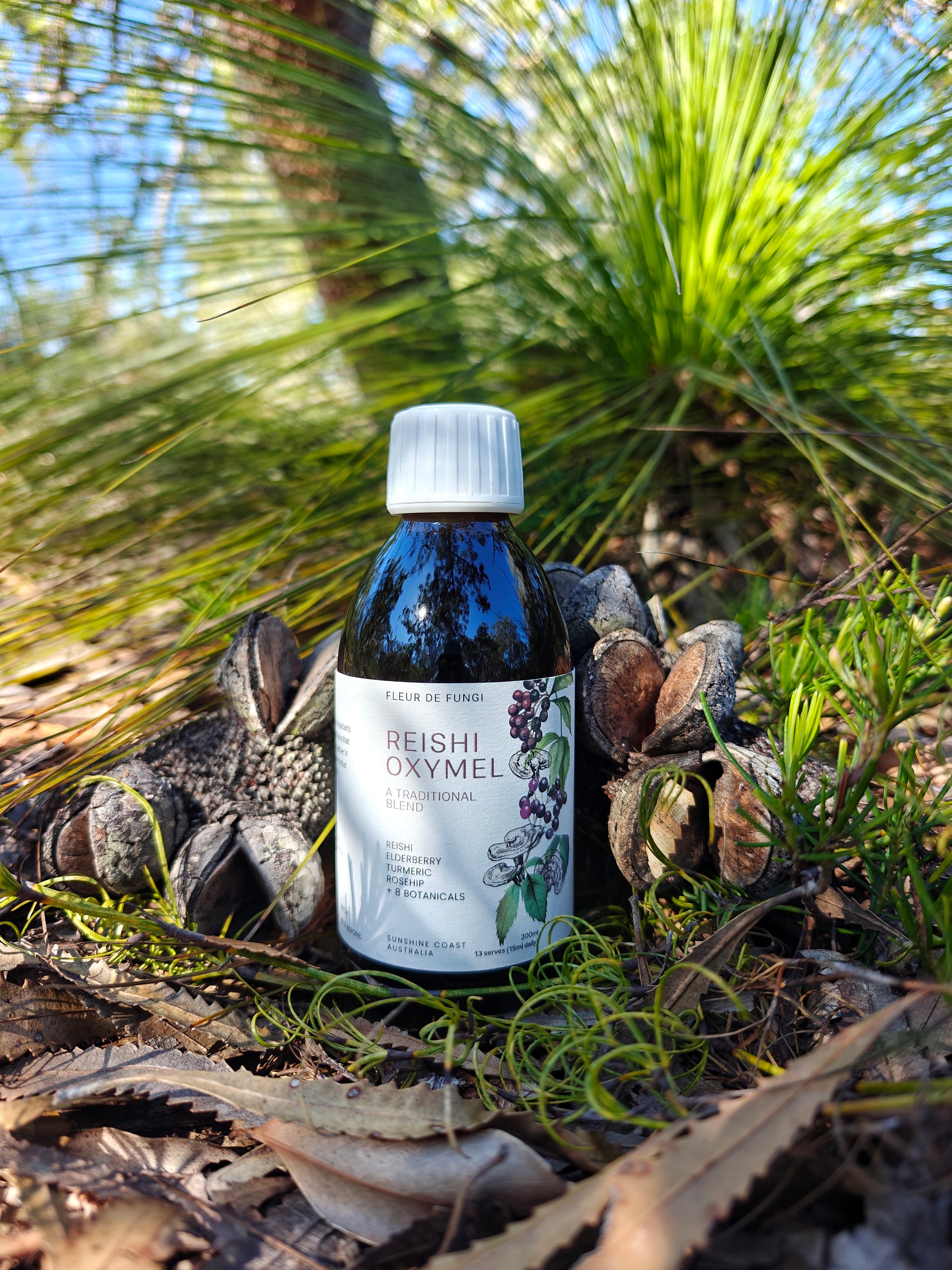 Reishi Oxymel