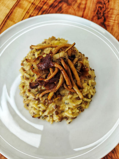 Pioppino Mushroom Risotto with Beluga Lentils🤎