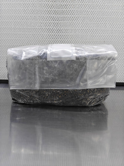 CVG Sterilised Substrate Bag