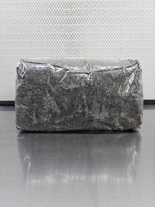 CVG Sterilised Substrate Bag