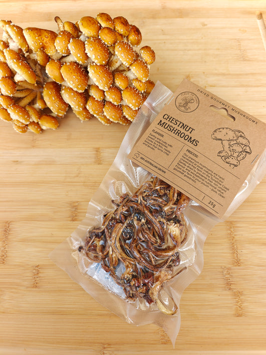 Dried Chestnut Mushrooms