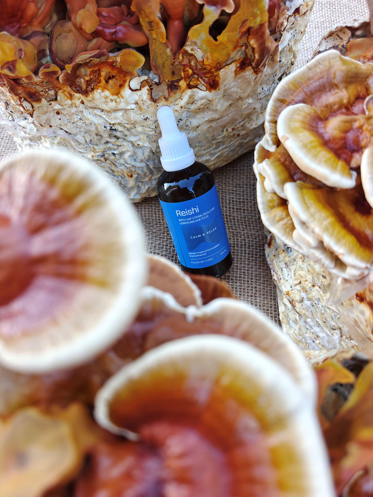 Reishi Mushroom Liquid