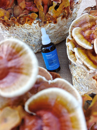 Reishi Mushroom Liquid