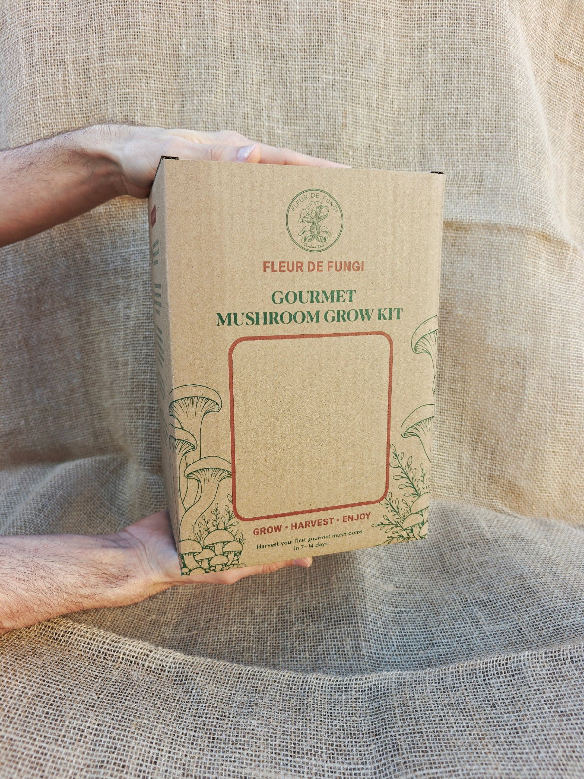 Lion's Mane Grow Kit