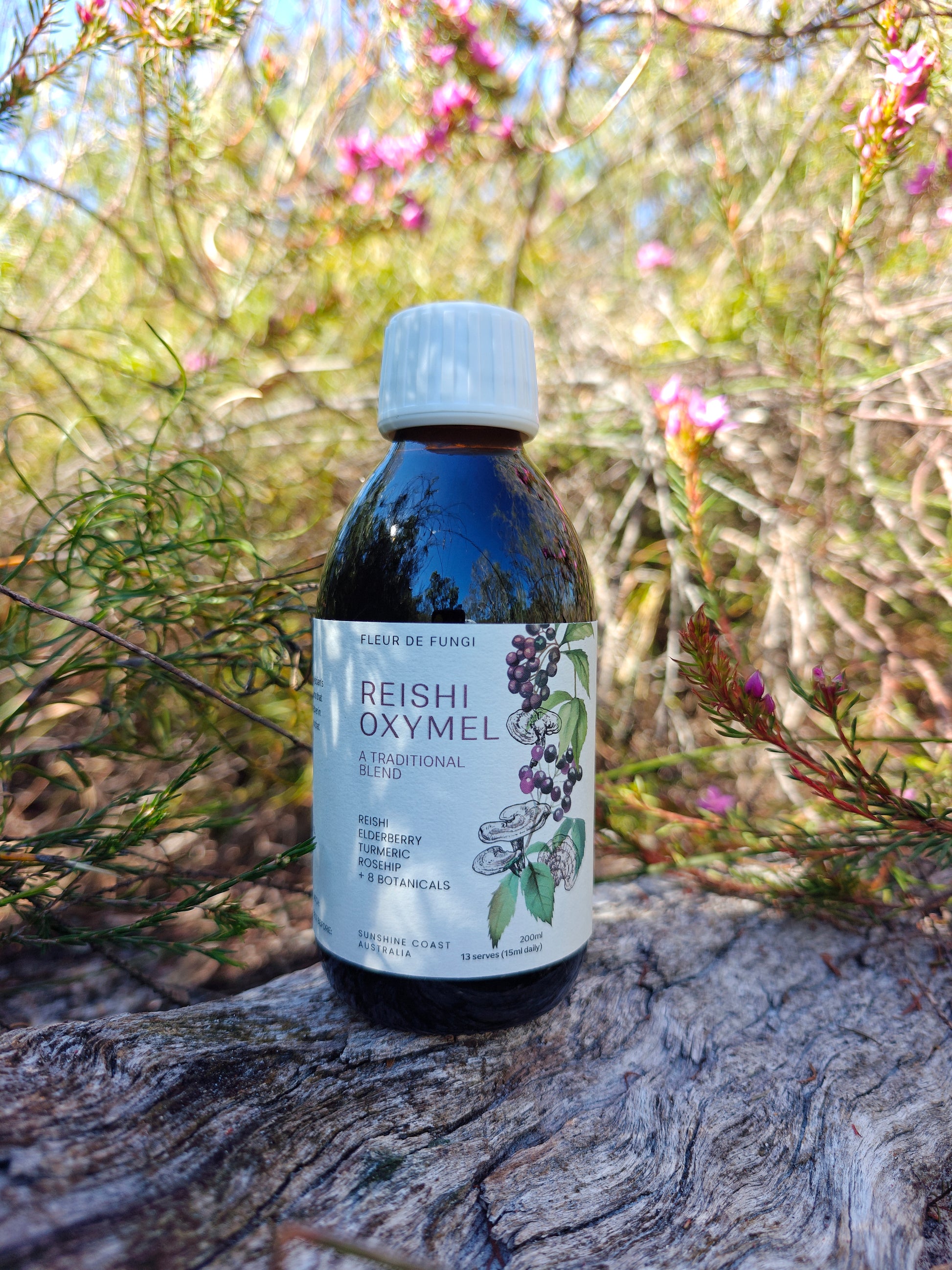 Reishi Oxymel