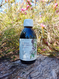 Reishi Oxymel