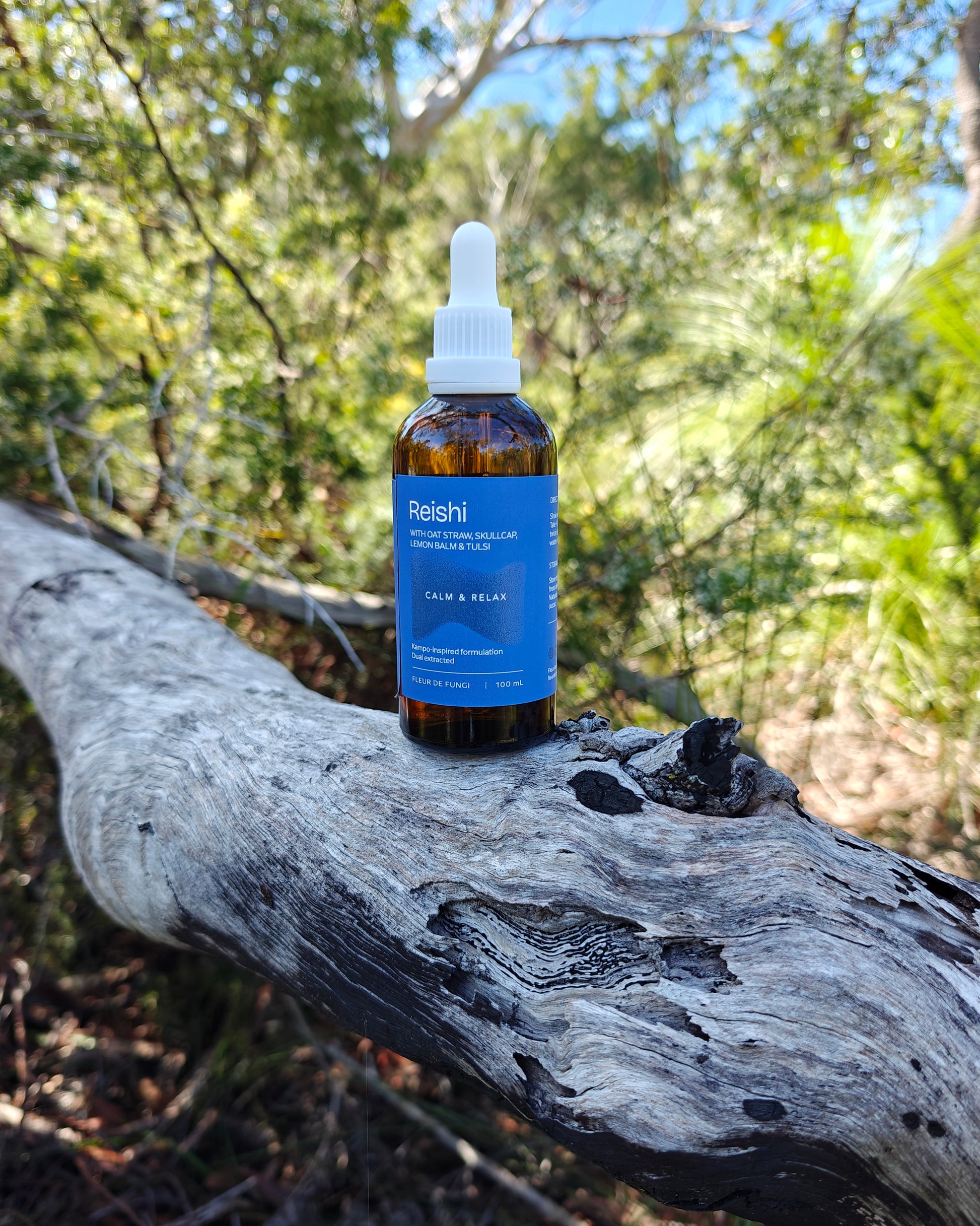 Reishi