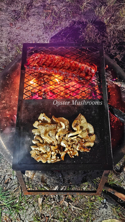 🍄 Cluster Princess of Pearl Oyster Mushroom 🏕️ Camping and BBQ Session 🍖