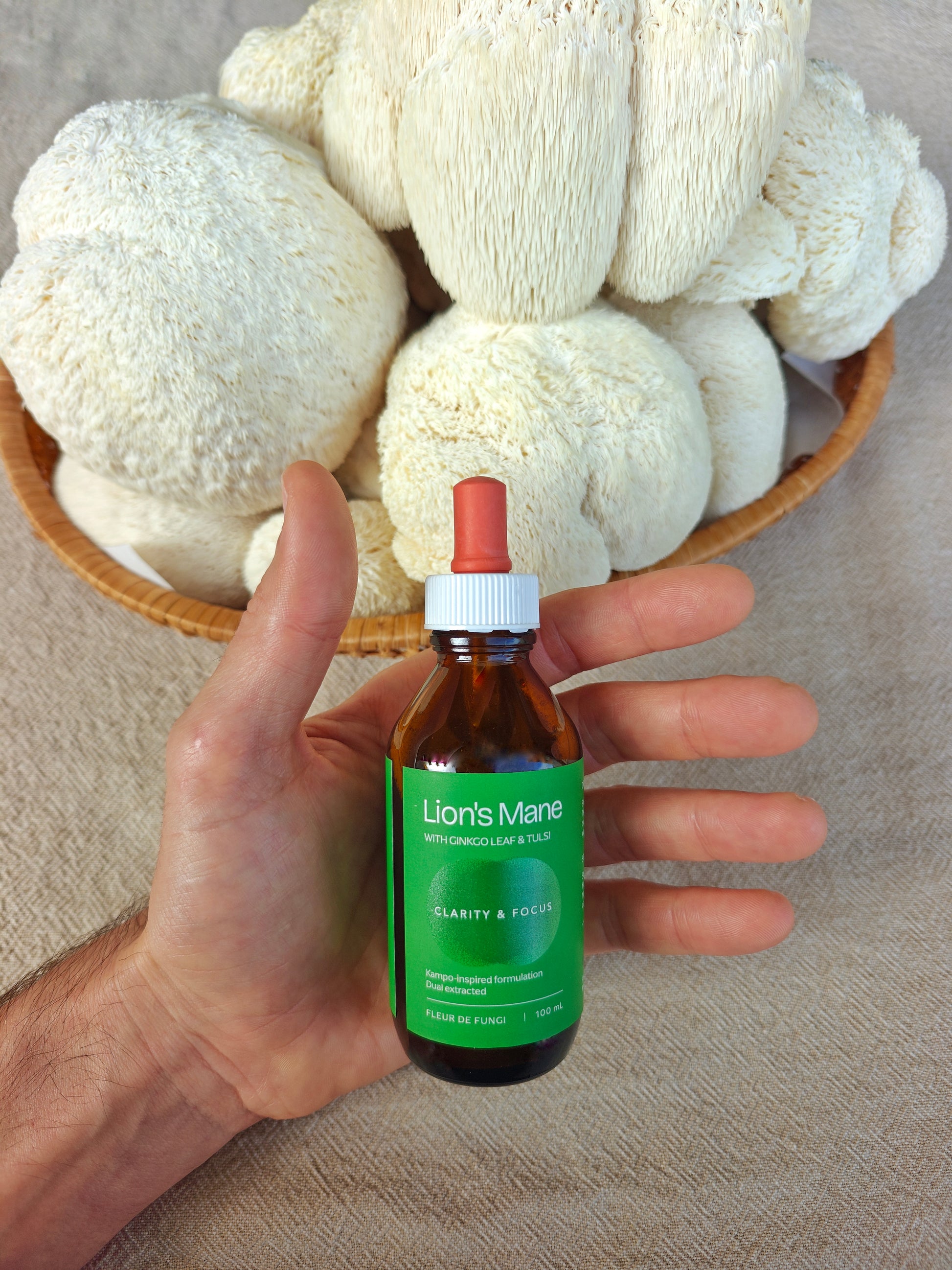 Hand holding Lion's Mane mushroom extract, Fleur de Fungi Coolum Beach