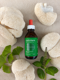 Lion's Mane mushroom extract with Ginkgo Leaf and Tulsi, Fleur de Fungi