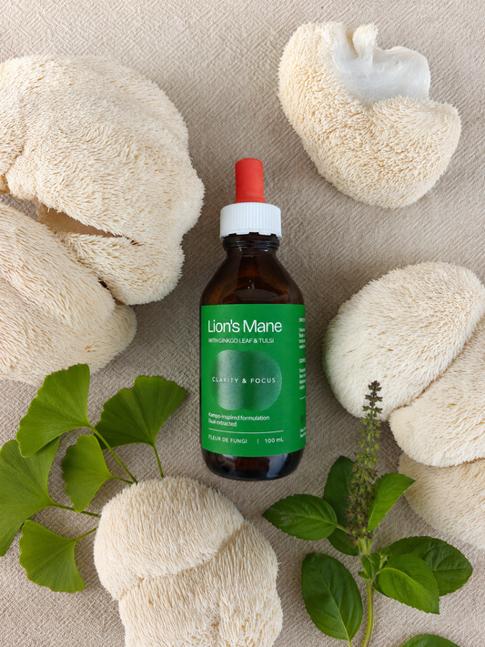 Lion's Mane mushroom extract with Ginkgo Leaf and Tulsi, Fleur de Fungi
