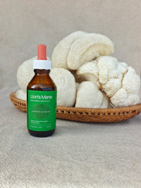 Lion's Mane mushroom extract bottle with dried Lion's Mane fruiting bodies, Fleur de Fungi