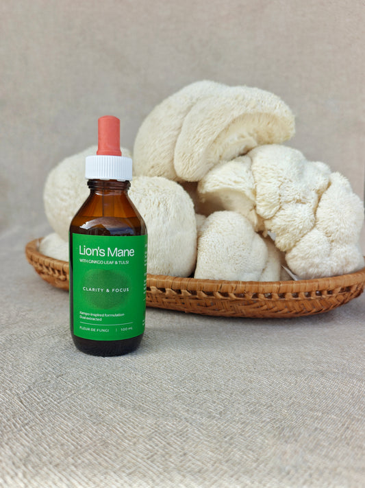 Lion's Mane mushroom extract bottle with dried Lion's Mane fruiting bodies, Fleur de Fungi