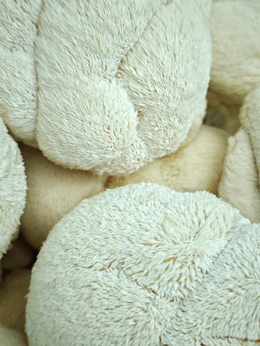 Lion's Mane Mushroom Grow Kit