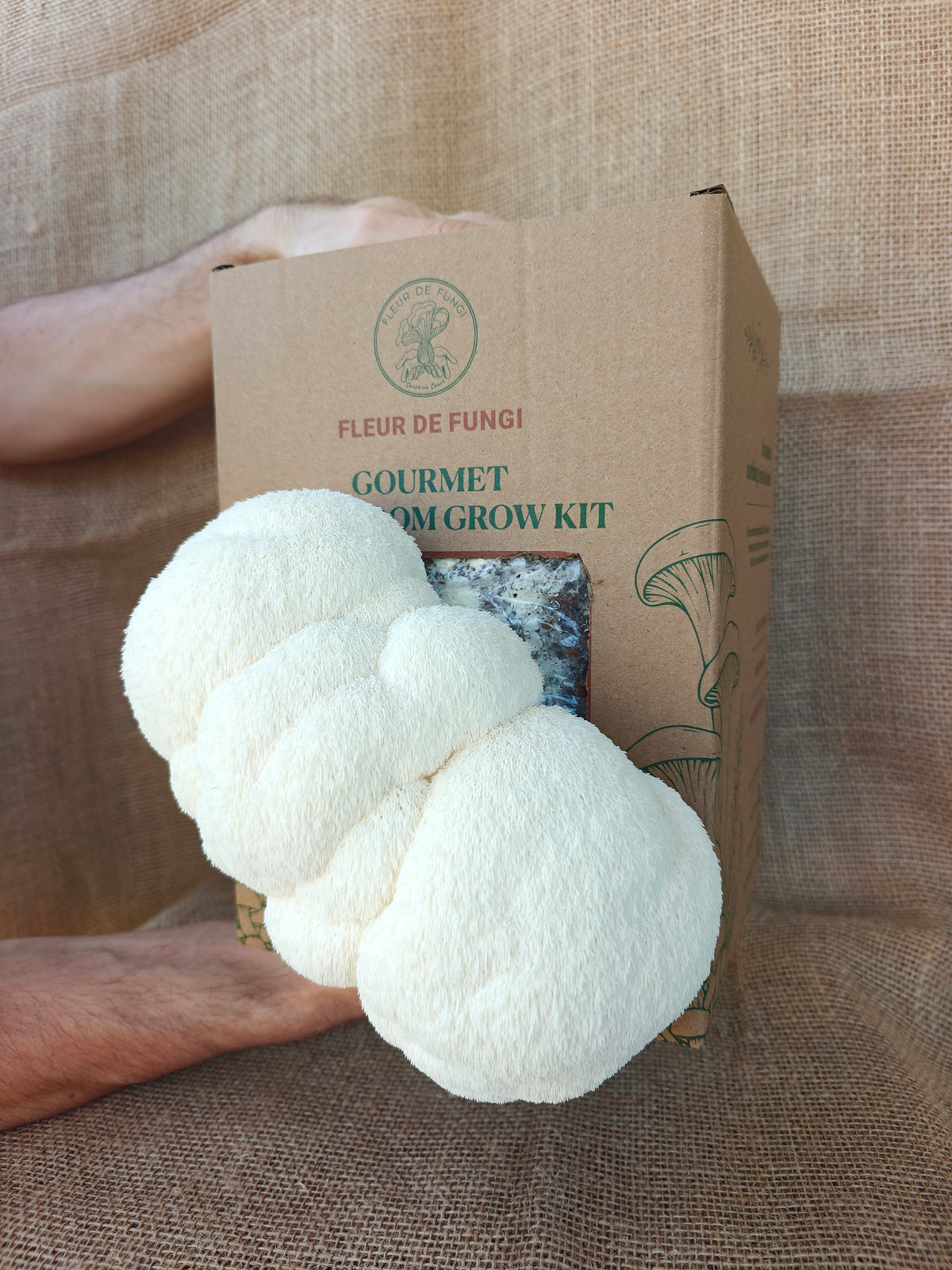 Lion's Mane Grow Kit