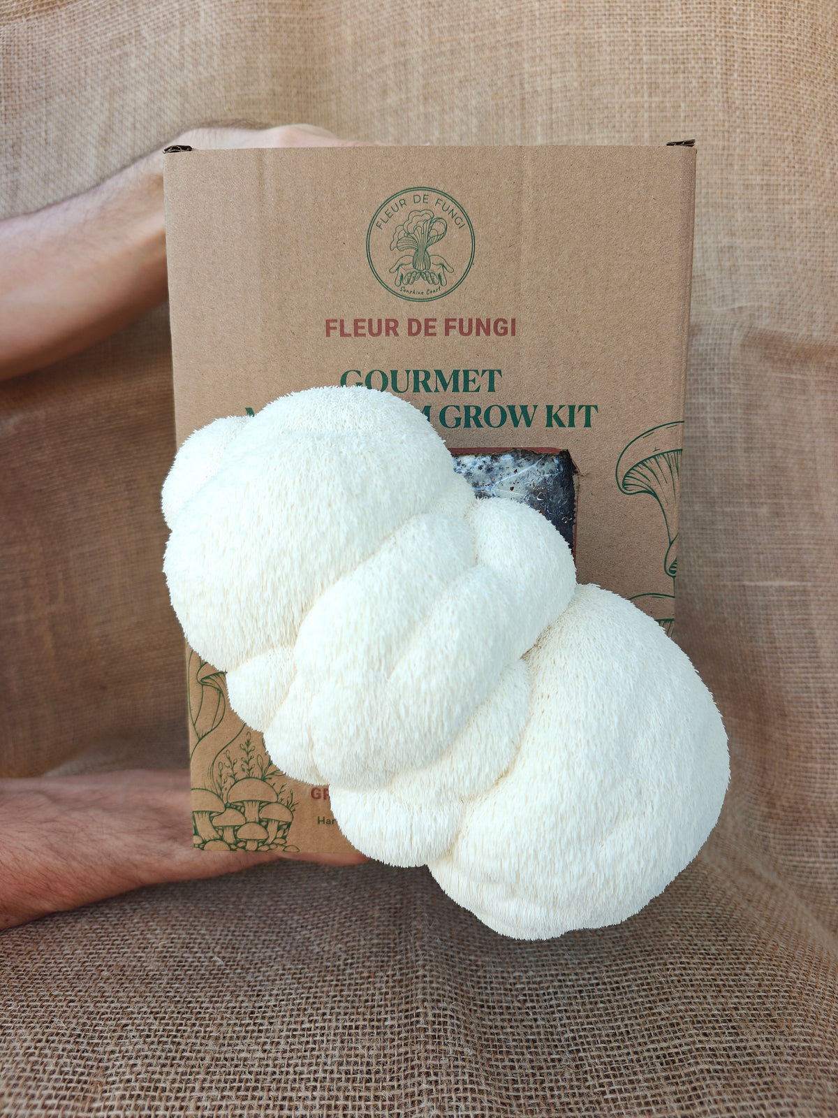 Lion's Mane Grow Kit