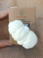 Lion's Mane Grow Kit