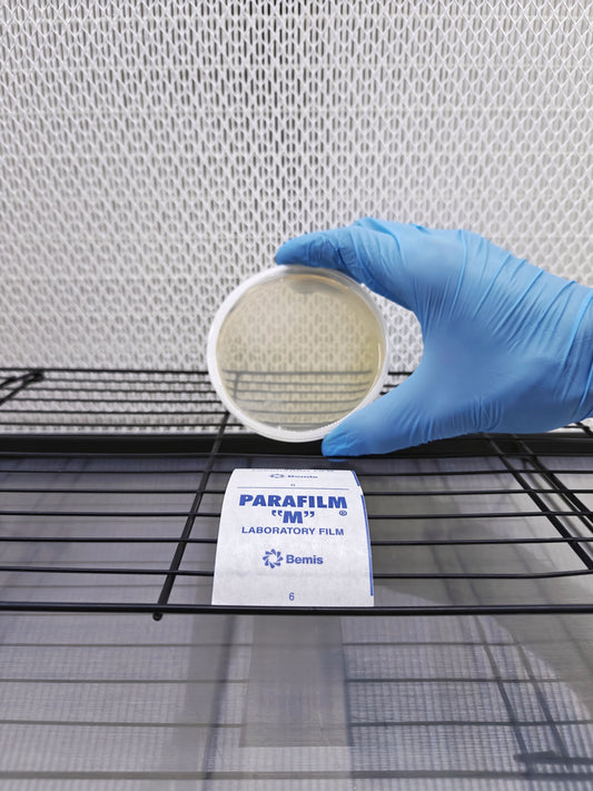 Sterilised MEA Agar Plates (Pre-poured)