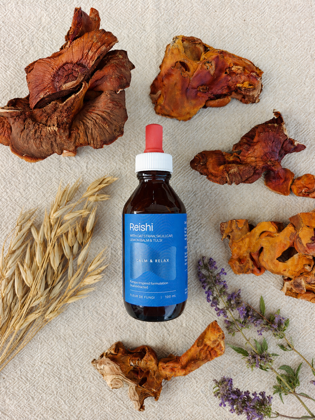 Reishi mushroom extract with Oatstraw, Skullcap, Lemon Balm and Tulsi, Fleur de Fungi