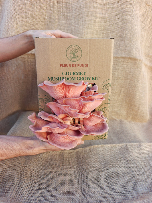 Pink Oyster Grow Kit