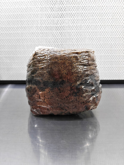 Master Mix Sterilised Substrate Bag