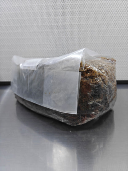 Master Mix Sterilised Substrate Bag