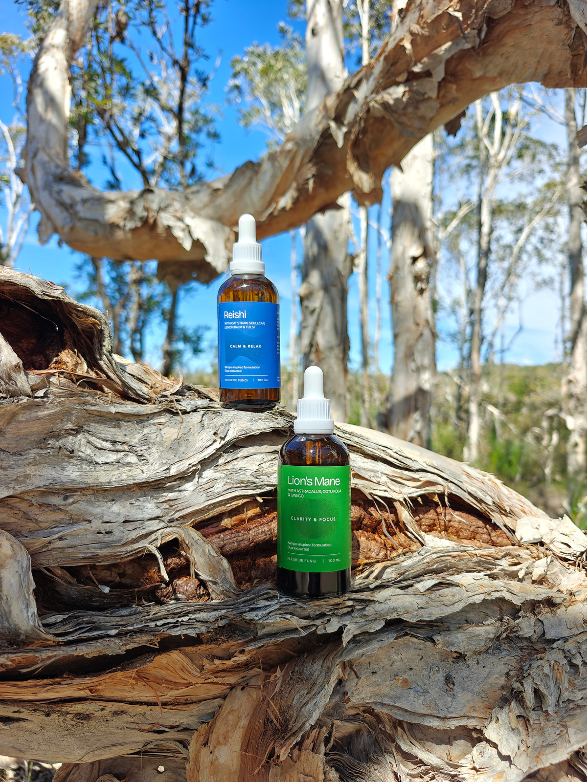 Mushroom Extracts