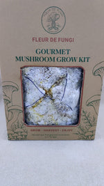 Princess of Pearl Oyster Grow Kit