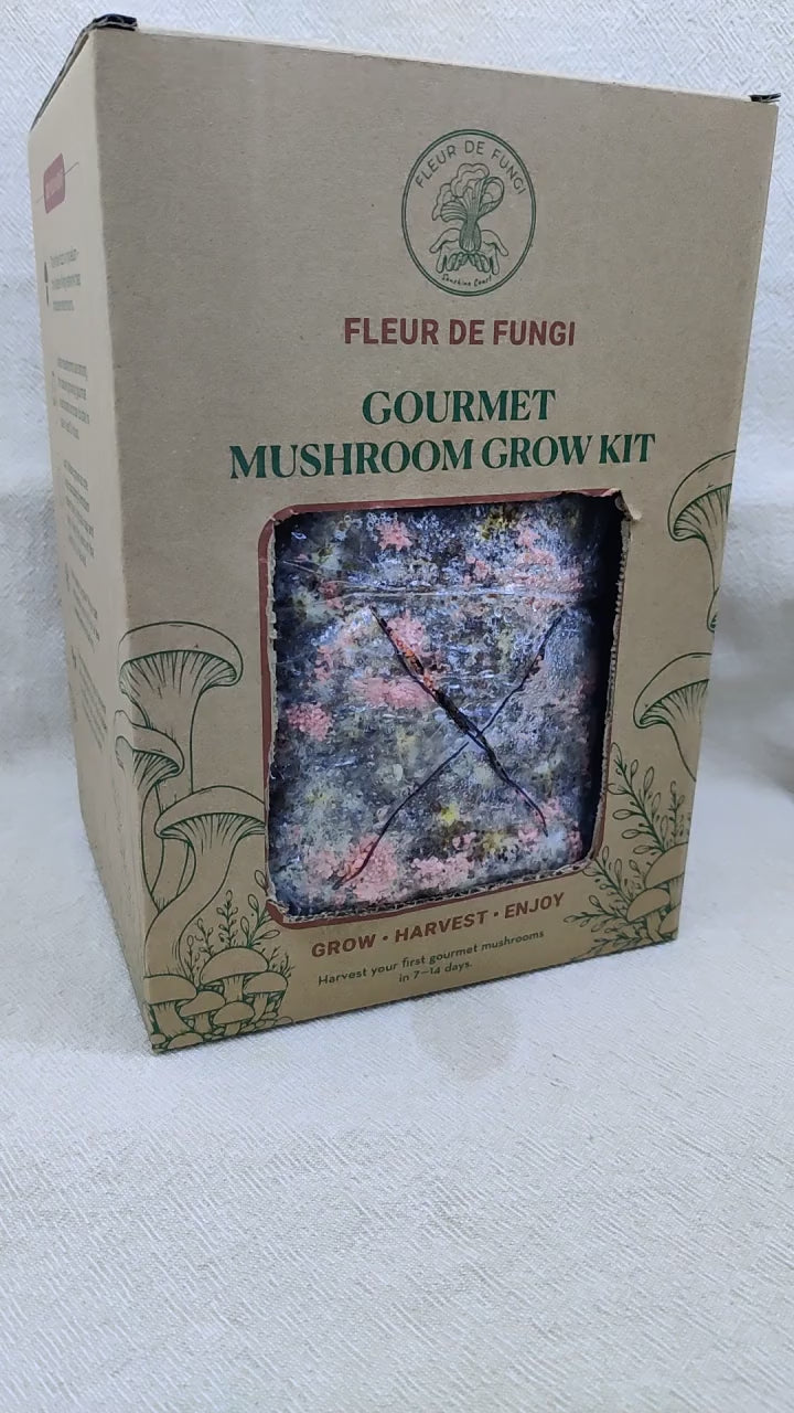 Pink Oyster Grow Kit