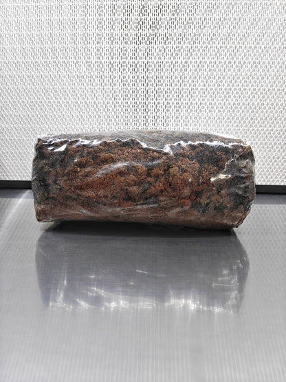 Shiitake Mix Sterilised Substrate Bag (80%-20%)