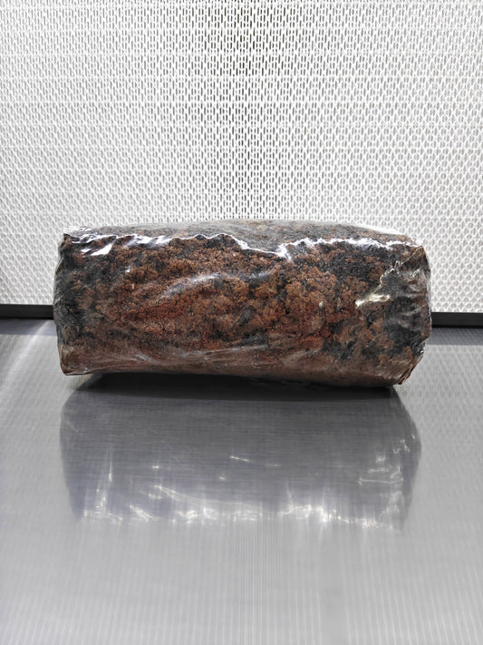 Shiitake Mix Sterilised Substrate Bag (80%-20%)