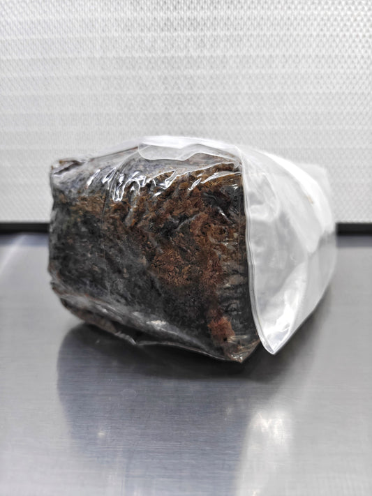 Shiitake Mix Sterilised Substrate Bag (80%-20%)